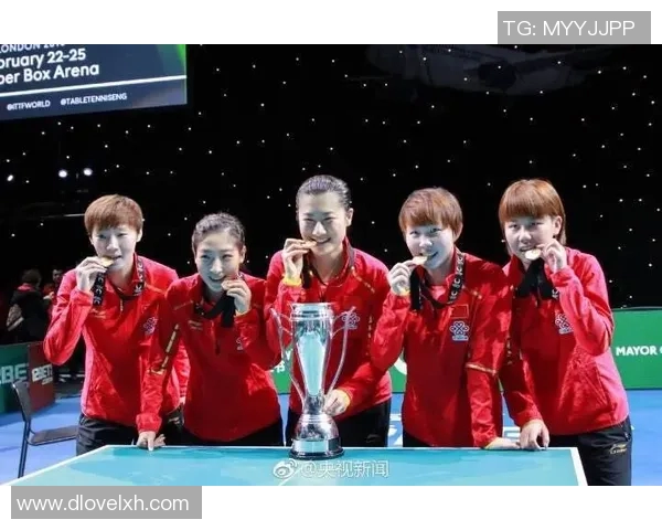 深圳排球队逆袭之路揭秘钻石联赛特别报道展现奋斗精神与团队力量