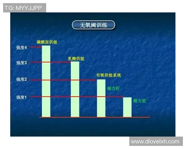 北京羽毛球队挑战赛战术分析与表现评估的深度解读