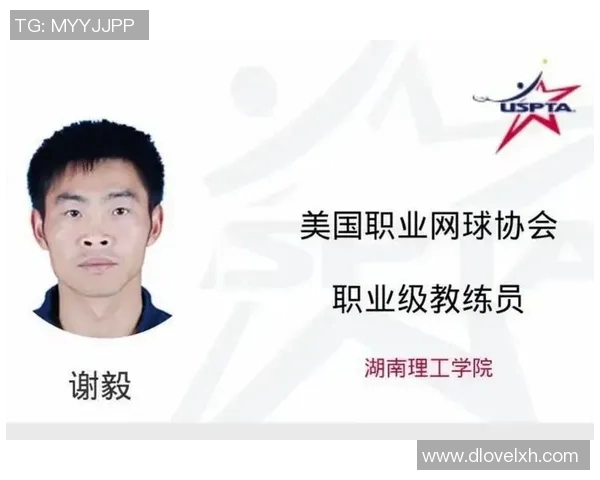 南京网球队的进攻体系与网球战术的深度解析与应用探讨