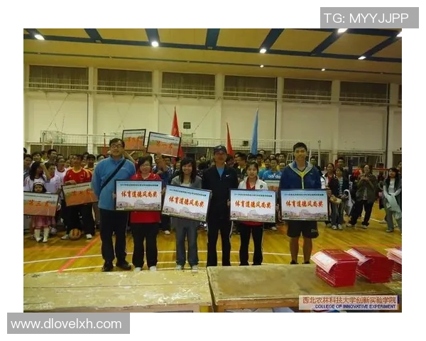 成都排球队与南京排球队的耐力较量赛后分析与总结