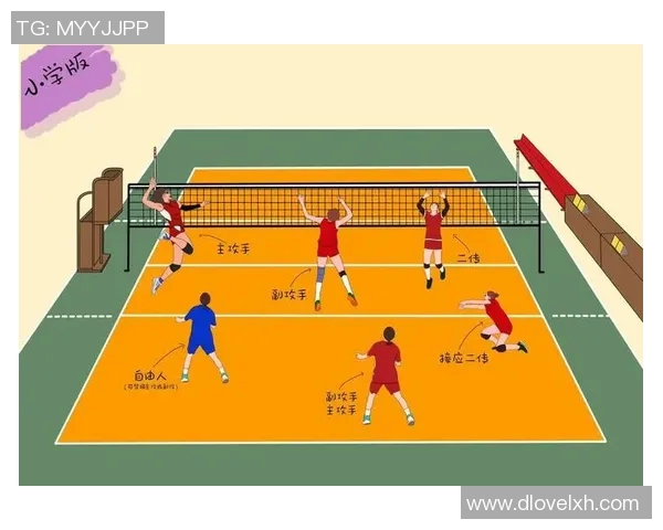 武汉排球队进攻策略全解析深度剖析排球战术与团队协作之道